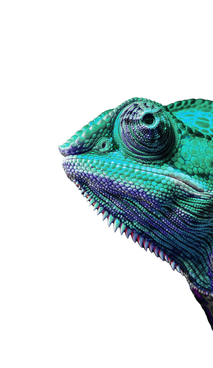 Chameleon